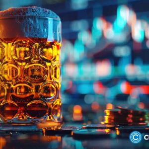Beercoin (BEER) price analysis: here’s why BEER token is sinking
