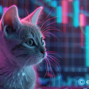 Cat in a Dogs World (MEW) soars, but gains could be brief