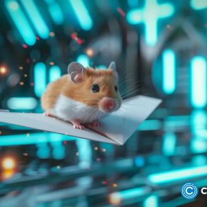 Russian roots of Hamster Kombat: journalists revealed the game founders