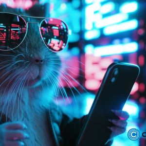 Telegram founder: Hamster Kombat token will be launched on TON