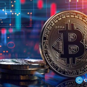 Bitcoin price needs just this one catalyst: Pompliano