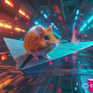 Russian lawmaker pushes for Hamster Kombat ban over scam concerns