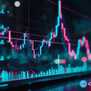 MEW surges 16%, becomes top gainer in crypto market today