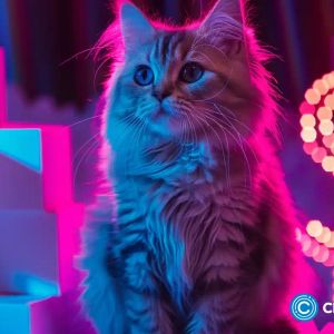 Telegram founder is concerned about helping cats: How is the new mini-game related?