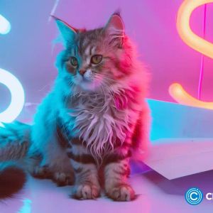 Popcat price rebounds as one X user cites the utility of meme coins