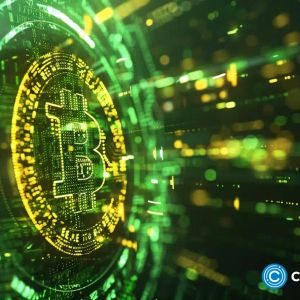 VanEck CEO says Bitcoin accounts for ‘way over 30%’ of his portfolio