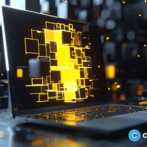 Beware of ‘Clipper Malware’: Binance warns of crypto fraud