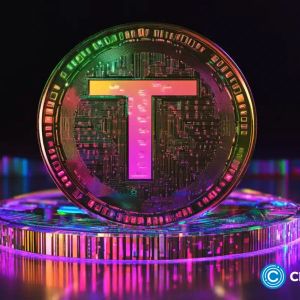 FET and TAO lead market rally as this hidden AI token aims for 1000x returns