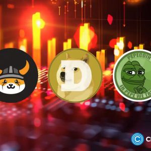 Solana meme coin Moo Deng soars over 40% in 24-hour trading