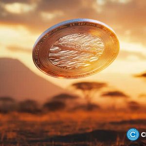 Chainalysis: Stablecoins represent 40% of crypto economy in Sub-Saharan Africa