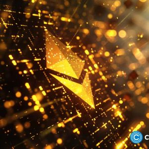 Binance market share regressed to 2020 levels