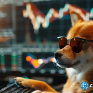 SUI leads top gainers as open interest hits all-time high