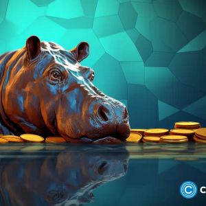MOODENG surges over 40% in 24 hours
