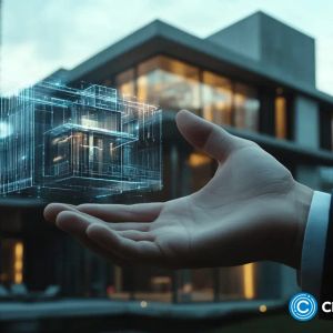IVVIA concept: A new path to property ownership through tokenization | Opinion