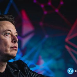 SpaceX crypto copycats skyrockets 5824% after Starship test launch