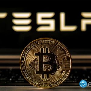 Tesla quietly moves $769m in Bitcoin to multiple unknown wallets