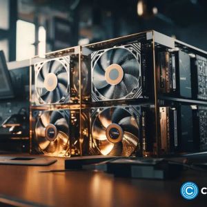 Unlock daily profits with CrytocoinMiner’s cloud mining