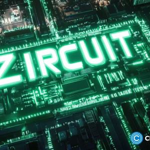 Explore POPCAT gains with low-cost options like ZDEX with own meme coin launchpad