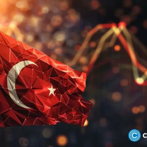Tether pitches boron tokens on blockchain to Turkey’s officials: report