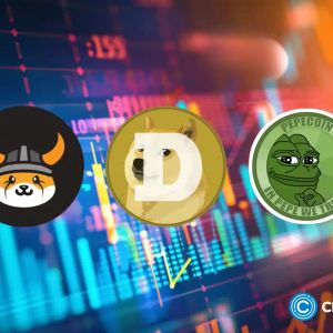 Meme coins shake up cryptocurrency investments as Gen Z seeks new financial paths