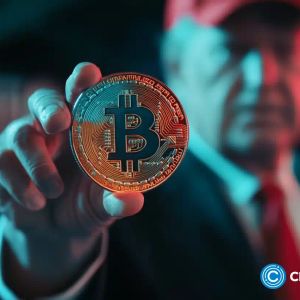 As Trump win sends Bitcoin to ATH, Dogizen raises over $1.2M