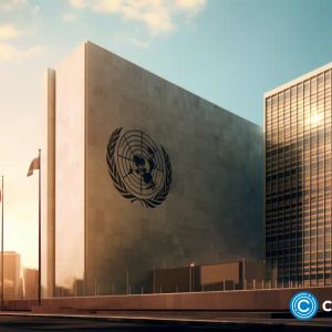 United Nations launches blockchain academy to upskill staff worldwide