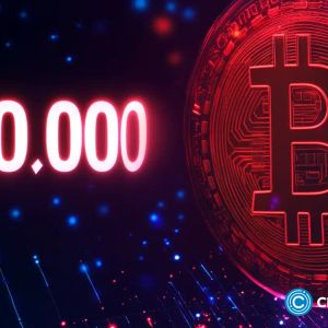 BTC at $100K: What the market cycle indicates