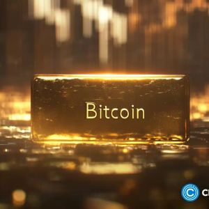 Sovereign ‘gold rush’ for Bitcoin imminent: Expert