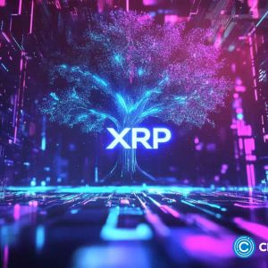 Ripple targeting year-end RLUSD stablecoin launch: report