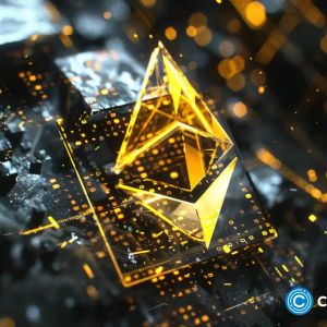 Binance CEO says users deposited over $21b to the exchange in 2024
