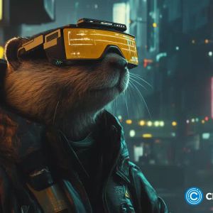 Investors bet big on this new crypto repeating Dogecoin’s path