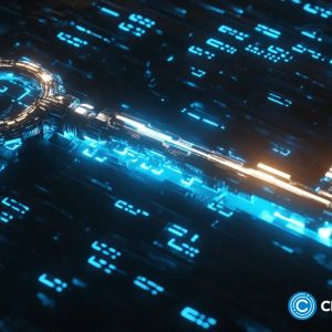 Launchpads are the key to decoding crypto’s investment complexity | Opinion