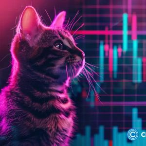 POPCAT surges, PENGU outperforms BRETT: New meme coin to bypass them