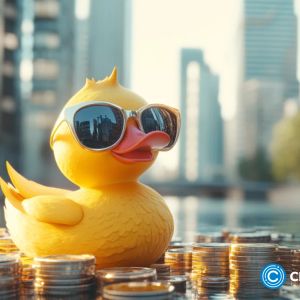 DuckChain announces strategic partnerships and secures $5M in financing