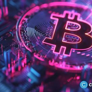 Metaplanet makes largest Bitcoin bet, acquires nearly 620 BTC