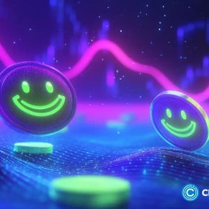 Forget Bitcoin’s stability, these meme coins could transform $100 into $1 million