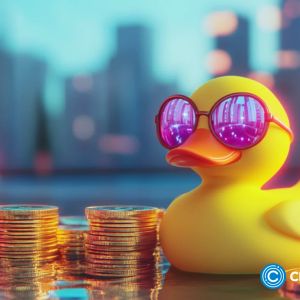 Oak Grove Ventures invests $5M in DuckChain to advance blockchain innovation