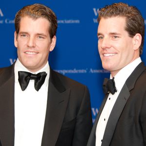 Winklevoss Twins Caution Democrats Against “War on Crypto”
