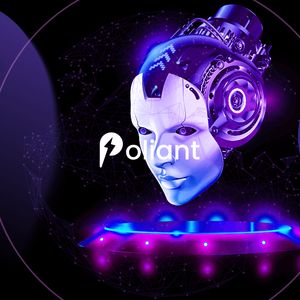 Poliant.com Releases Follow the Whale, the First AI Pool in the Crypto Market