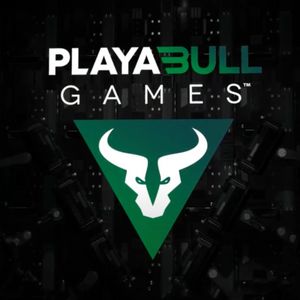 PLAYA3ULL Games Enhance The Blockchain Ecosystem With A 10% Burn Mechanic And A New Dedicated Blockchain On An Avalanche Subnet