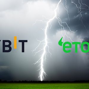 Bybit vs. eToro: Exchange With The Best Copy Trading Product
