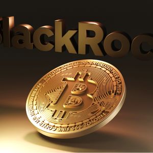 Blackrock CEO confirms Bitcoin bull market