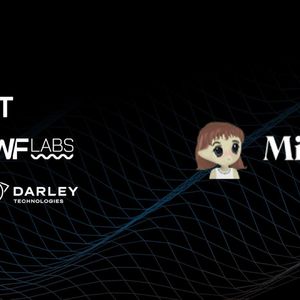 LADYS Options on BIT Exchange paves new retail trading highway for meme coins