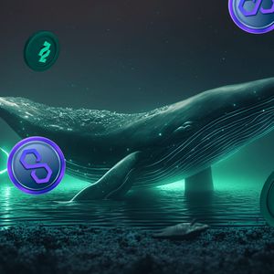 Buy These Top Coins for Huge Profits – Polygon MATIC, Solana and Tradecurve