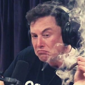 It’s Over 1000! X-Token Surges Following Musk’s Twitter Rebrand