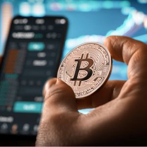 Australia's Crypto Maverick: The Enigmatic Journey of Russell Wilson