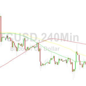 Bitcoin Price Analysis:  Peaks Around 30222 - 10 August 2023