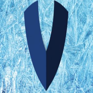 Troubled Crypto Lender Vauld to Restructure, Appoint New CEO