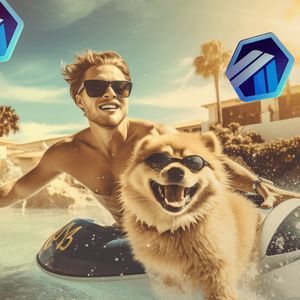 Top Altcoin Picks with Potential 5x Gains: Spotlight on Arbitrum (ARB), Solana (SOL), and Pomerdoge (POMD)