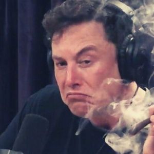 Musk Funded Dogecoin, Contemplated Blockchain Social Media Platform